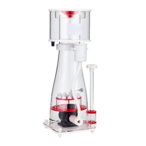 protein skimmer saltwater