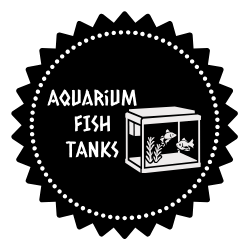 Aquarium Fish Tanks